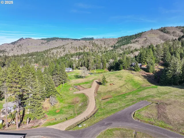 a view of a swimming pool with a yard