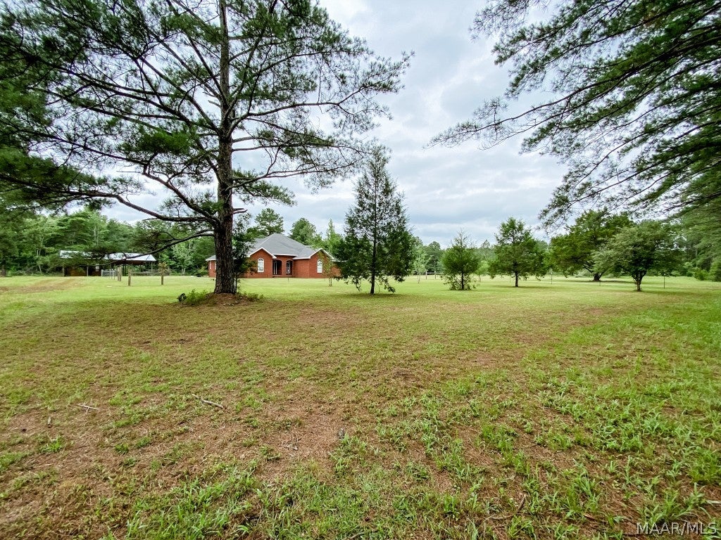 354 River Road Samson, AL 36477 - Photo 2 of 66 Gallery Image 2