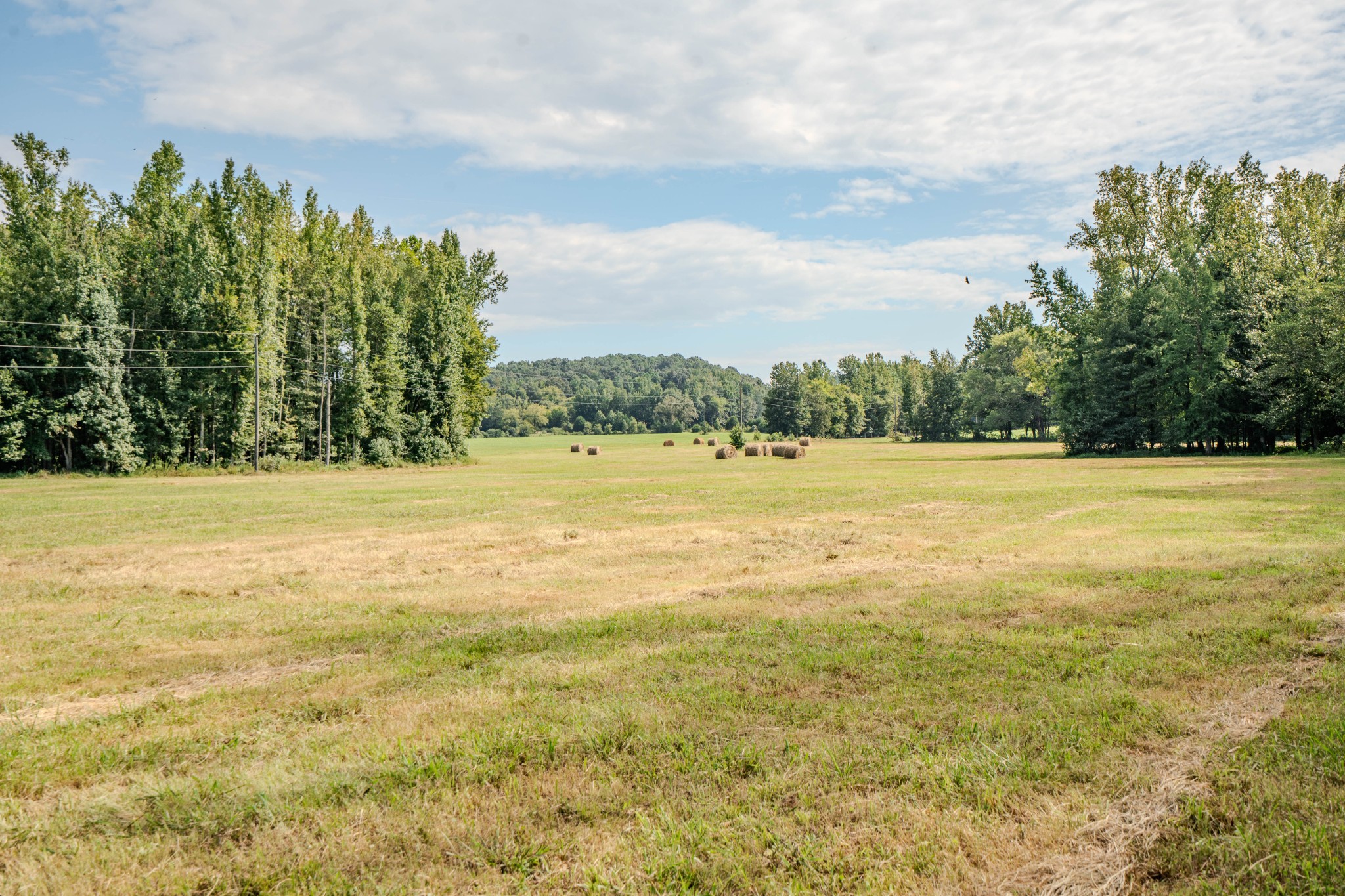 9270 Last Butler Creek Road Iron City, TN 38463 - Photo 20 of 86 Gallery Image 20