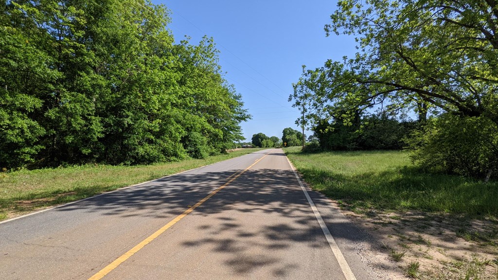 Undisclosed Address Headland, AL 36345 - Photo 5 of 5