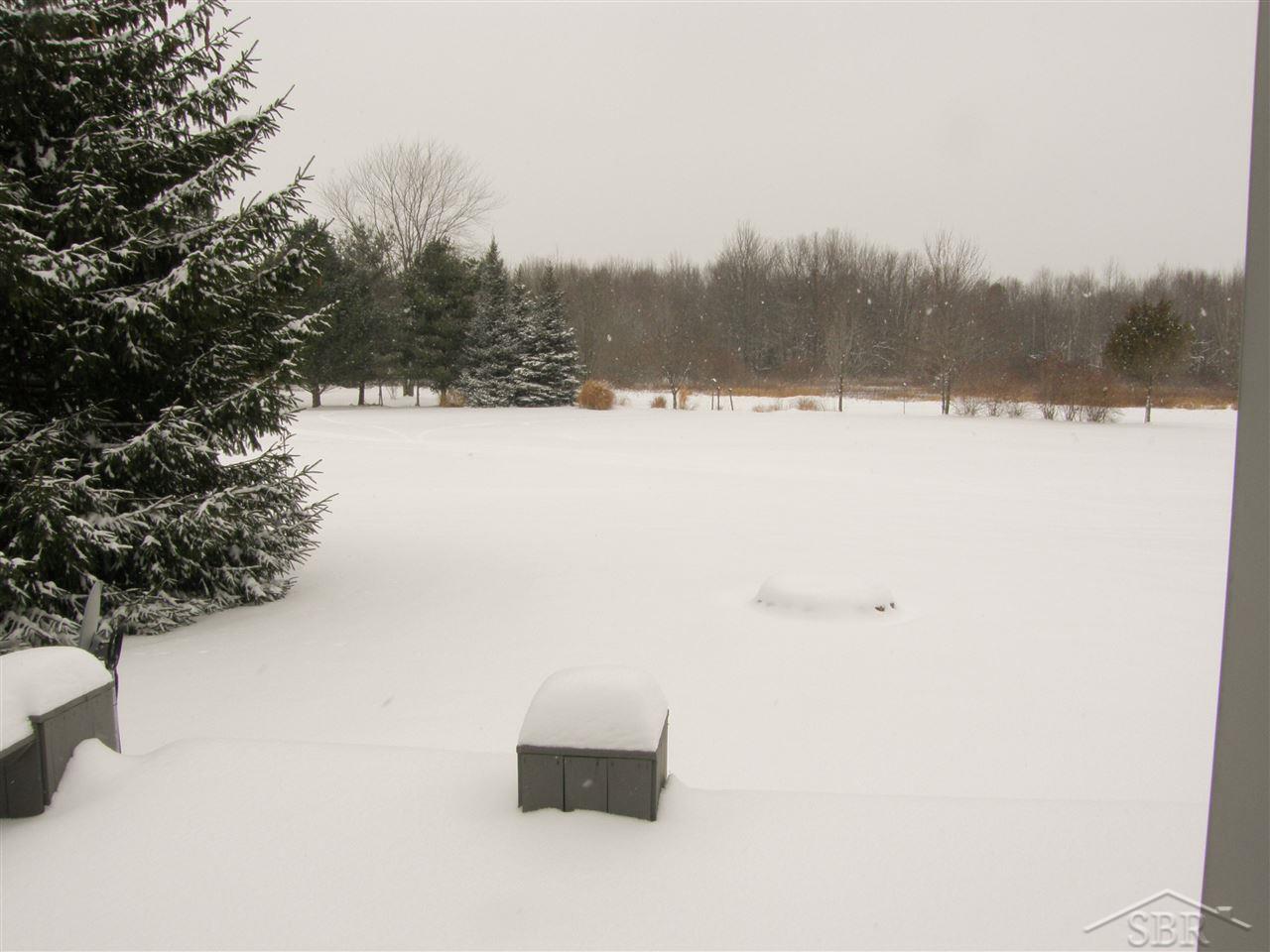 18700 South Sharon Road Oakley, MI 48649 - Photo 19 of 19 31337017-18.JPG