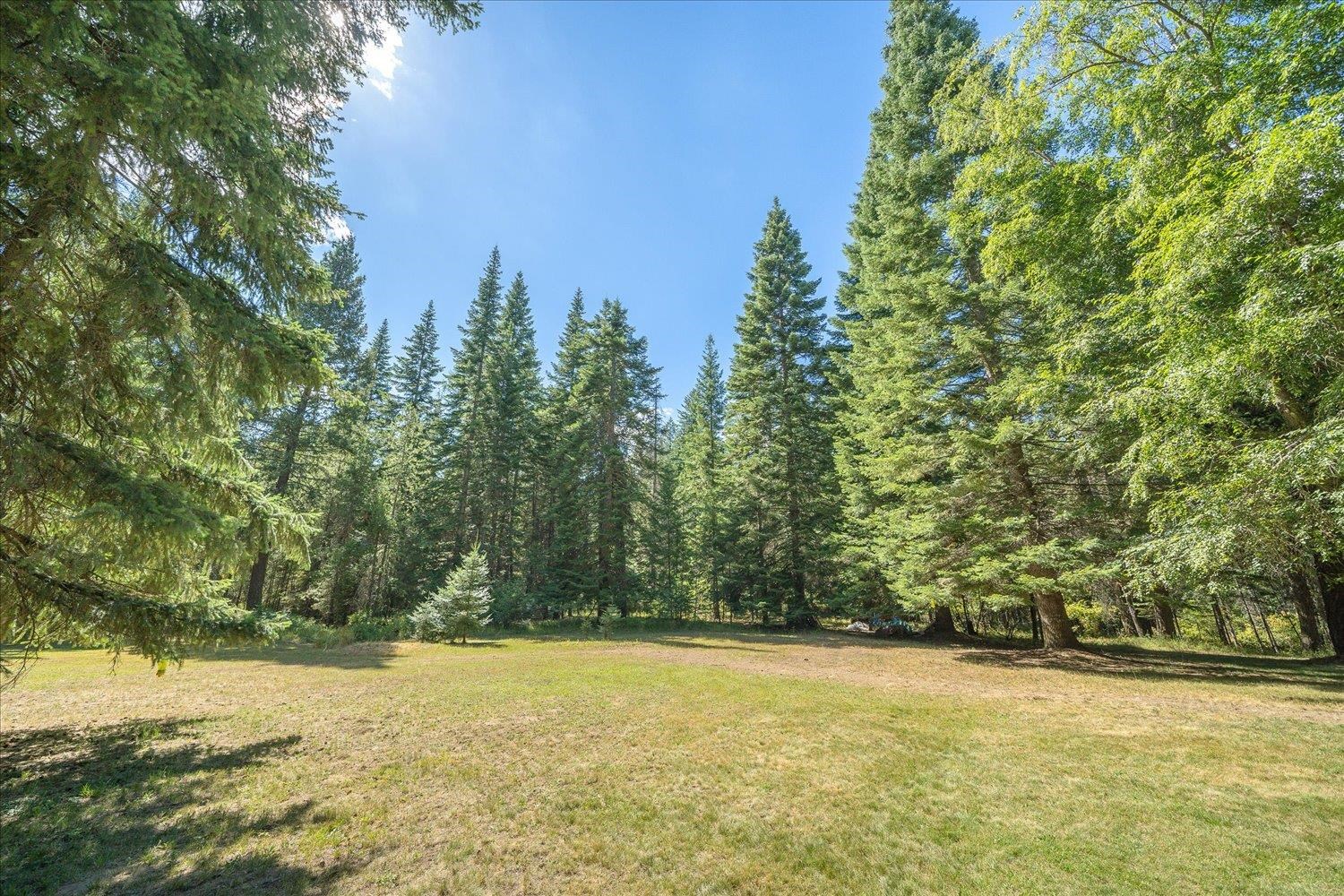 20622 North Mt Carlton Road Mead, WA 99021 - Photo 27 of 36