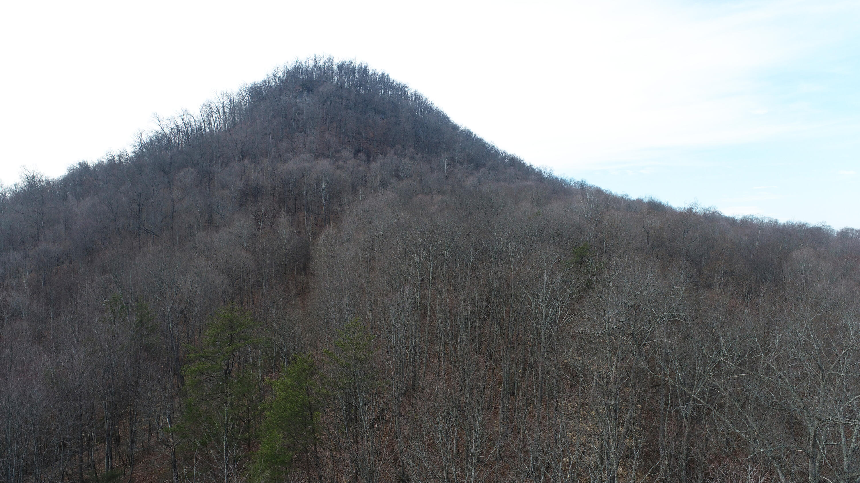9999 Round Mountain Road Irvine, KY 40336 - Photo 1 of 9 1.01 acres on Round Mountain!