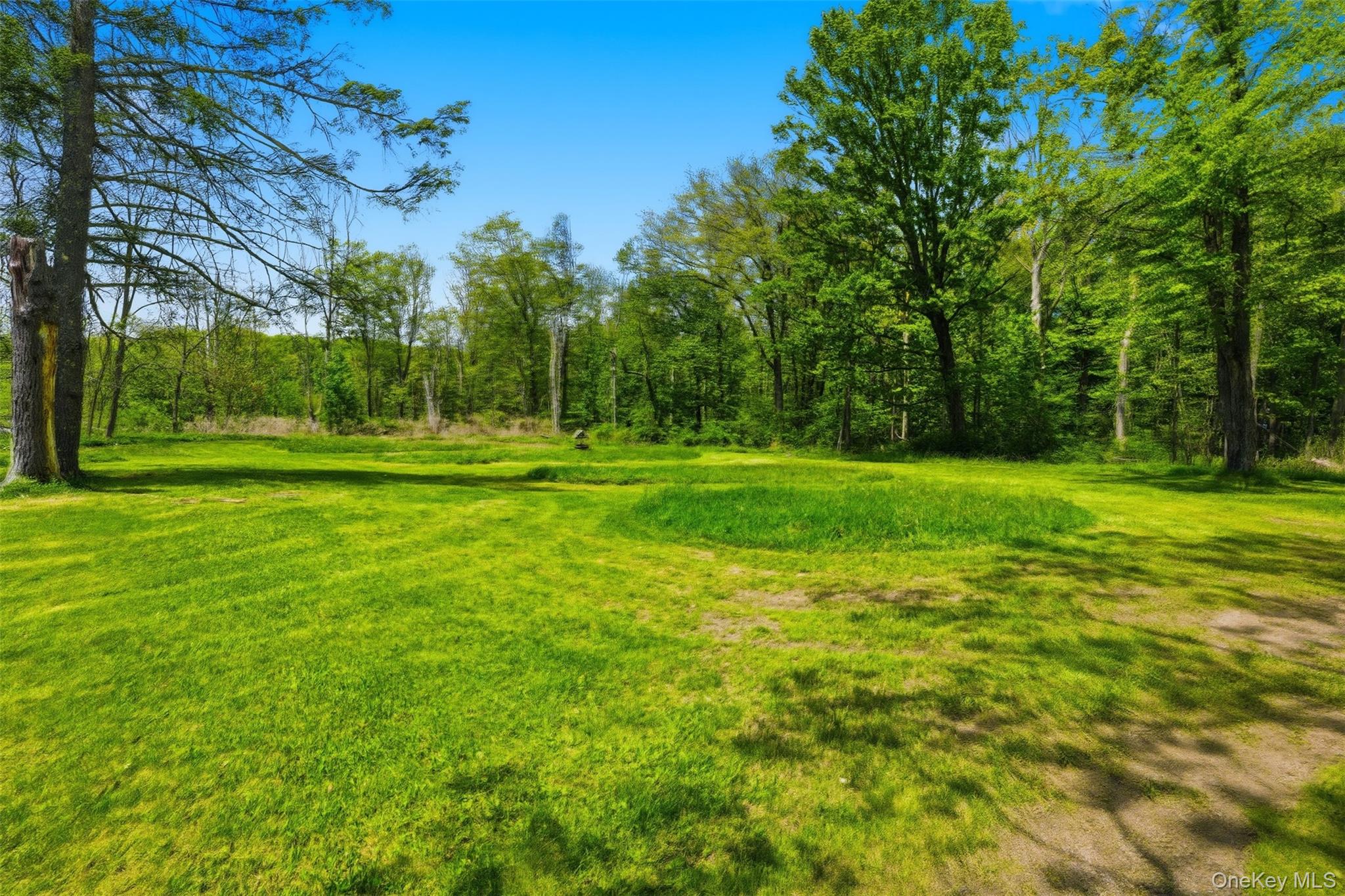6 Short Road Wurtsboro, NY 12790 - Photo 46 of 48 a view of a grassy field with trees