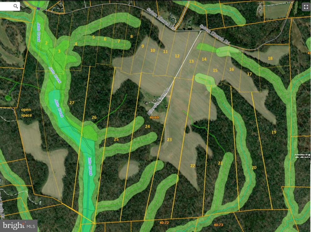 Lot 4 Salem Church Road King George, VA 22485 - Photo 2 of 2 a view of banana tree