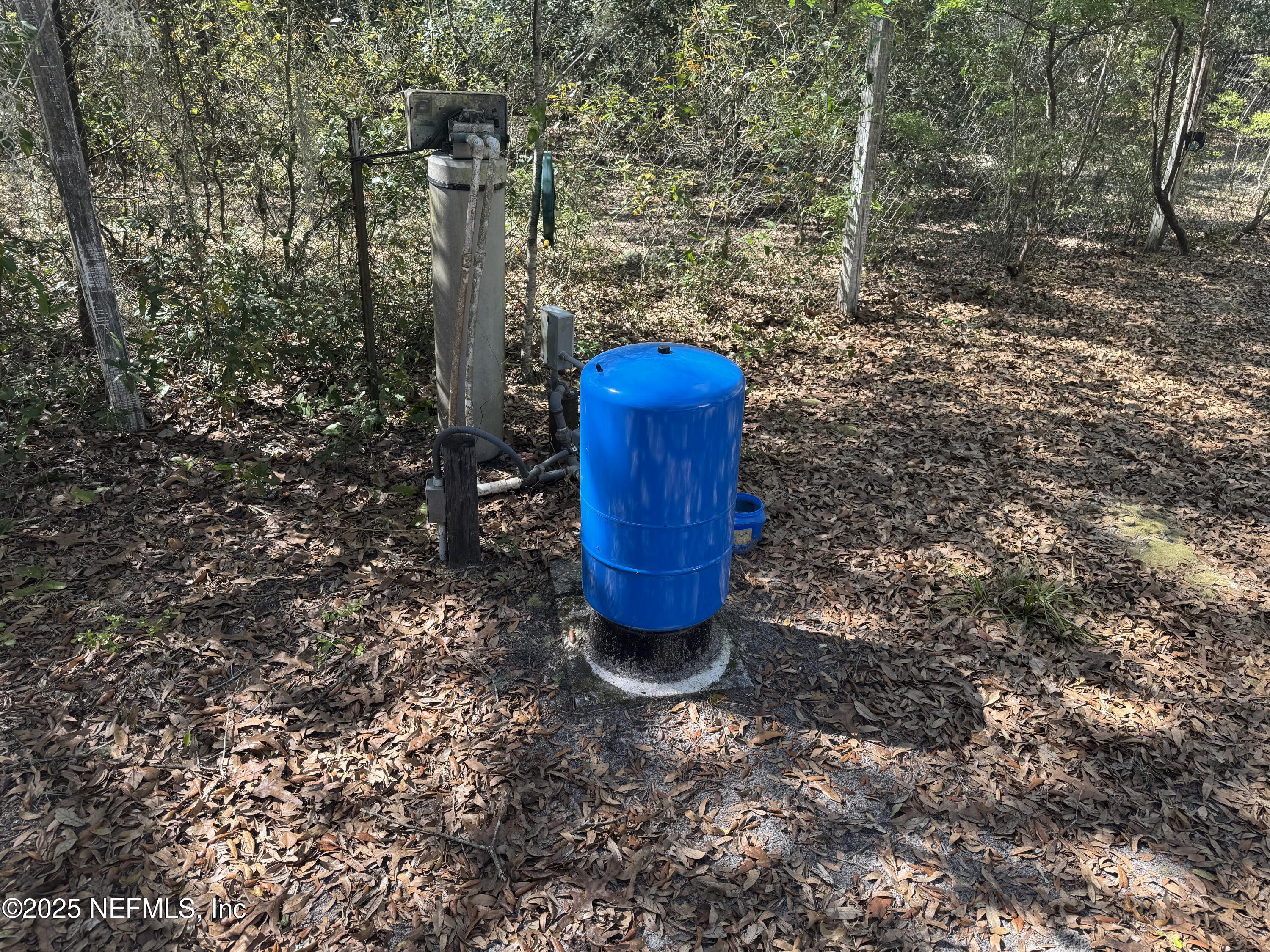 208 Lakeview Road Melrose, FL 32666 - Photo 20 of 22 a view of a plant in a yard