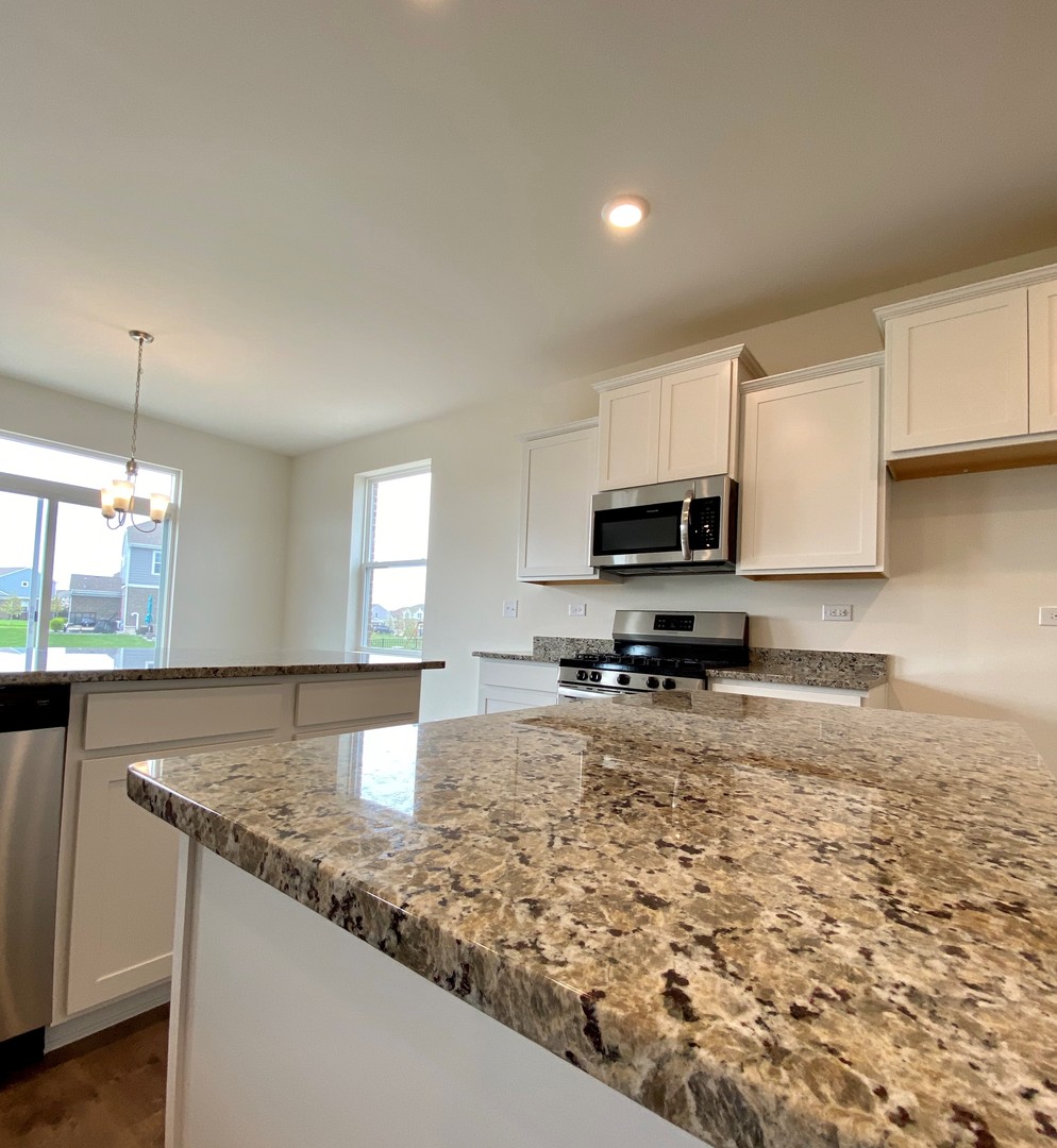 2017 Rownham Hill Road New Lenox, IL 60451 - Photo 5 of 9
