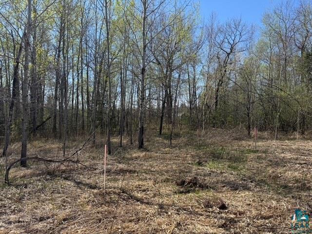 57082 Highway 23 Sandstone, MN 55072 - Photo 7 of 10