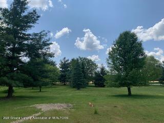 4971 Bond Road Onondaga, MI 49264 - Photo 30 of 44 IMG_9901