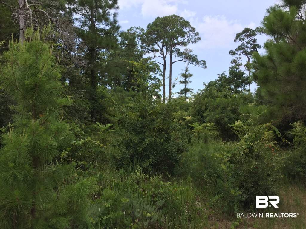 9543 Ft Morgan Road Gulf Shores, AL 36542 - Photo 6 of 28