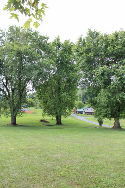 2900 Pumphouse Road Somerset, KY 42503 - Photo 4 of 21 IMG_3946