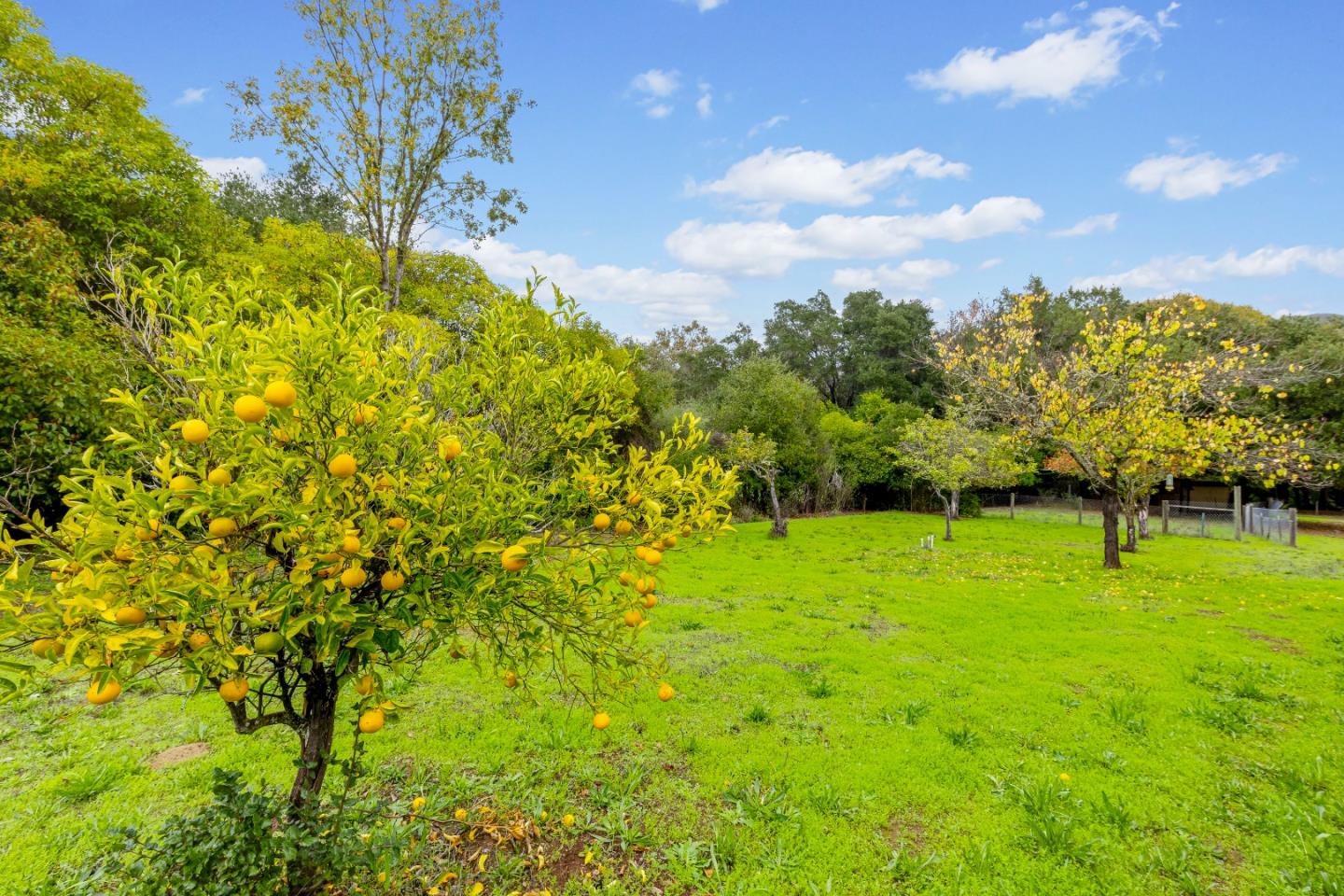 11900 Old Coach Road Gilroy, CA 95020 - Photo 47 of 63