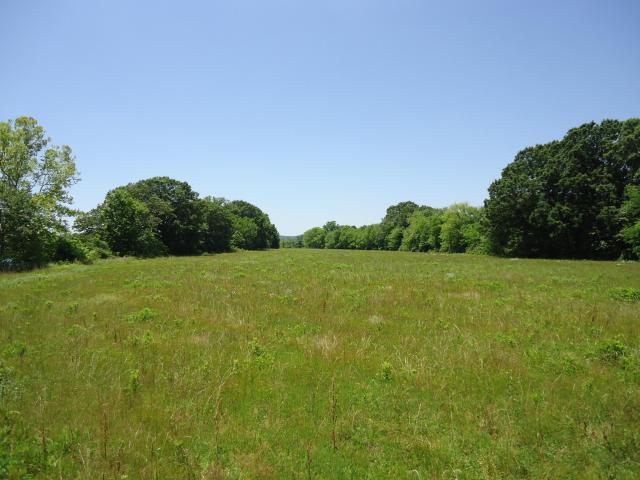 Tract 2 Cottonport Road Dayton, TN 37321 - Photo 2 of 27 20150528211433037516000000-o