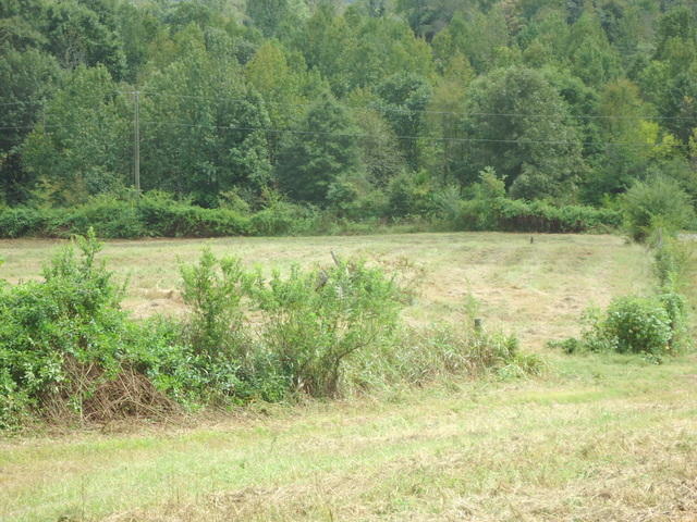 Tract 2 Cottonport Road Dayton, TN 37321 - Photo 11 of 27 07-DSC00110
