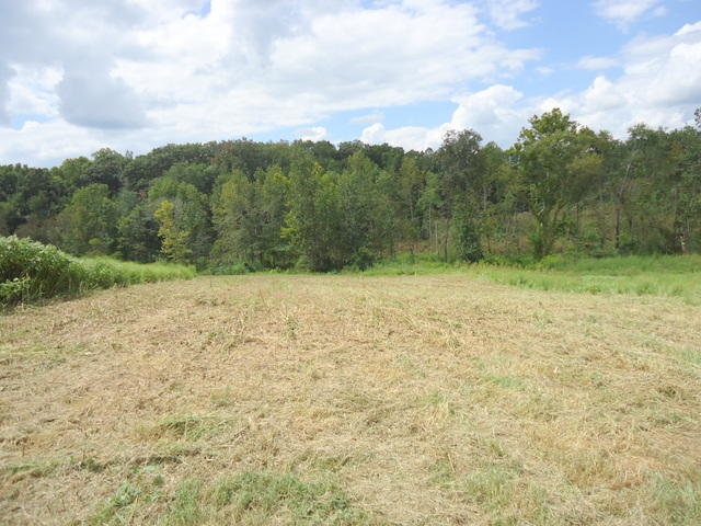 Tract 2 Cottonport Road Dayton, TN 37321 - Photo 12 of 27 08-DSC00111