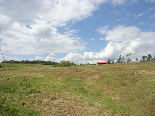 Tract 2 Cottonport Road Dayton, TN 37321 - Photo 16 of 27 12-DSC00115