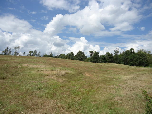 Tract 2 Cottonport Road Dayton, TN 37321 - Photo 17 of 27 13-DSC00116