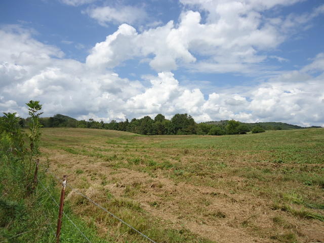 Tract 2 Cottonport Road Dayton, TN 37321 - Photo 19 of 27 15-DSC00118