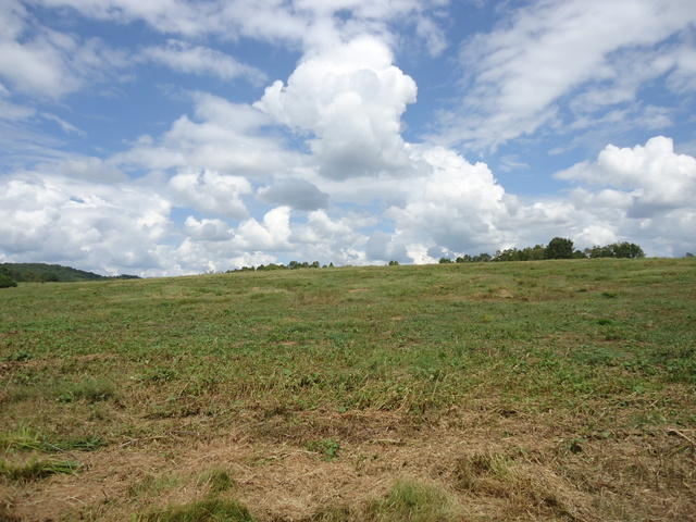 Tract 2 Cottonport Road Dayton, TN 37321 - Photo 20 of 27 16-DSC00119
