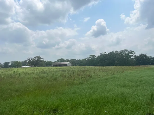 a view of a field of grass and trees