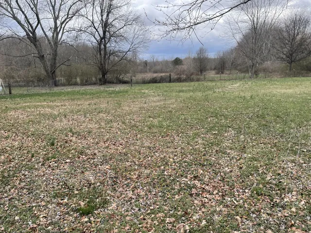 a view of a field with trees