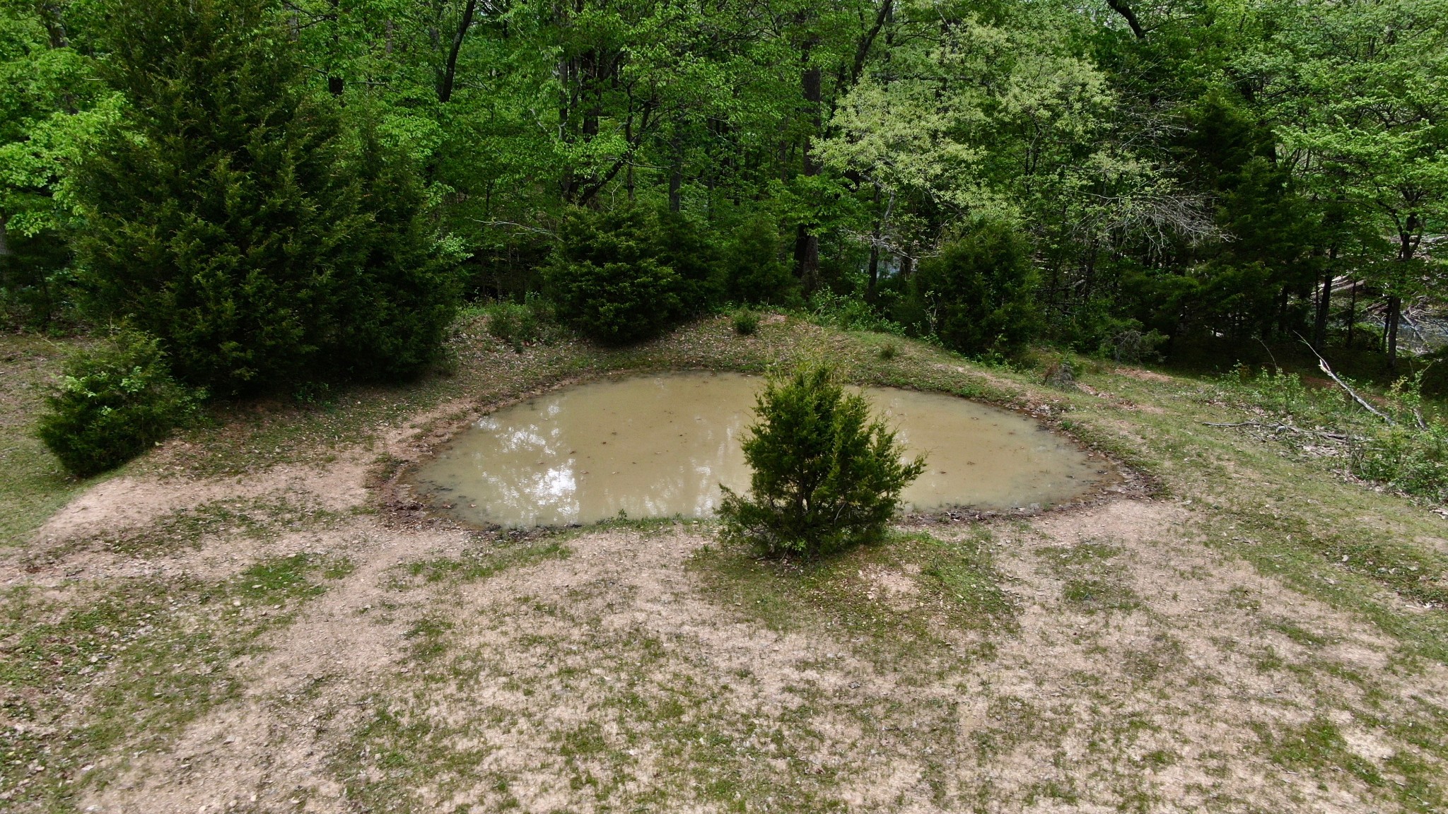 326 Ranch Road Portland, TN 37148 - Photo 22 of 30 a view of outdoor space and yard