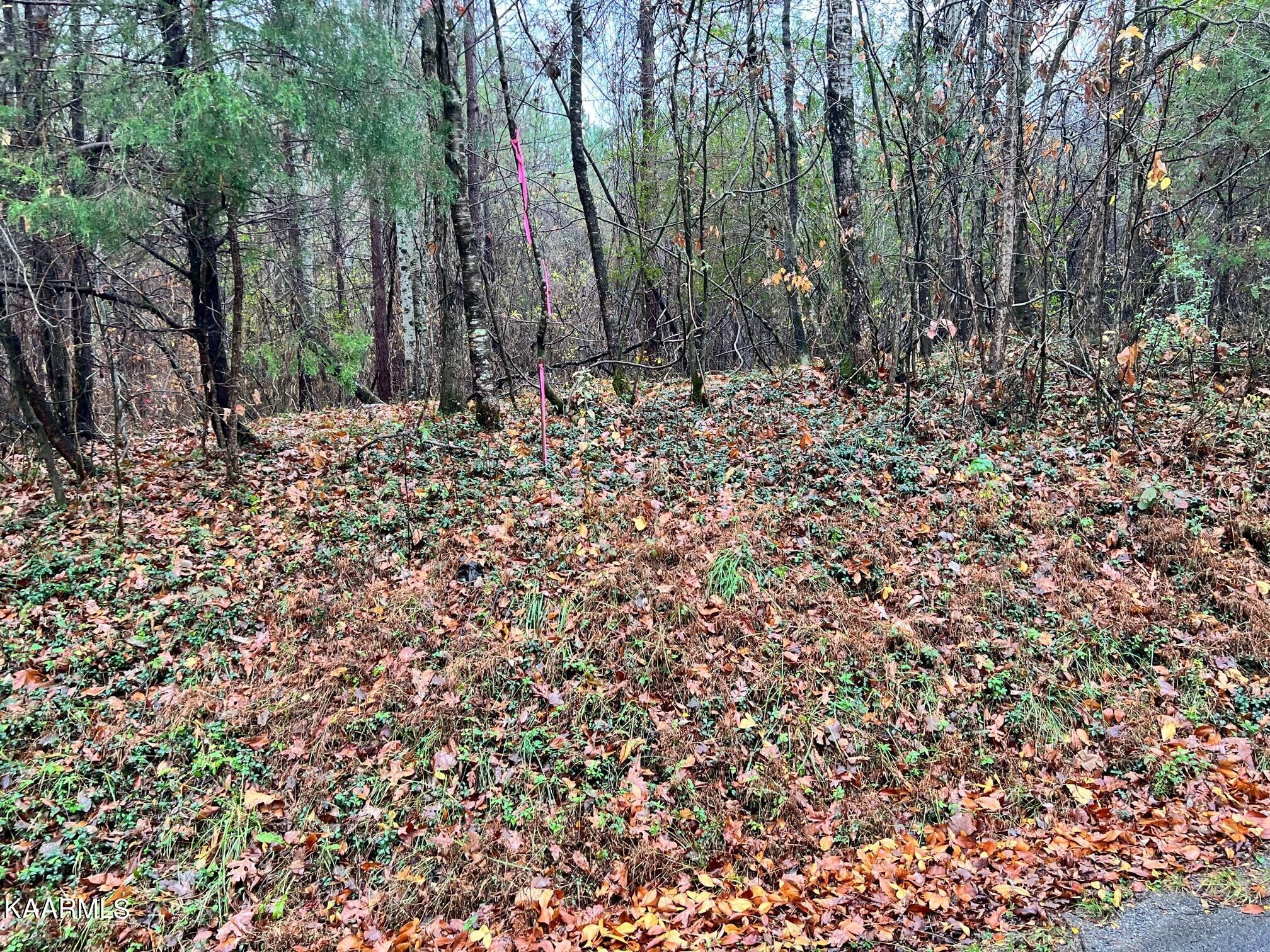 Lot 17 Rayl Hollow Decatur, TN 37322 - Photo 2 of 6 RH