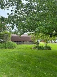 a view of a garden with a tree