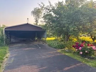 a view of a flower in a yard