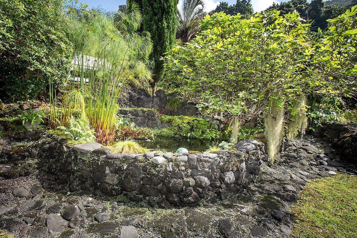 83-5614 Keei Road Captain Cook, HI 96704 - Photo 16 of 24 Gallery Image 16