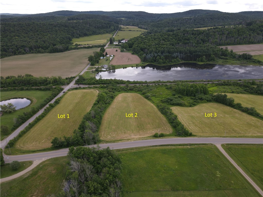 Lot 3 Summit Road Cuba, NY 14727 - Photo 4 of 20