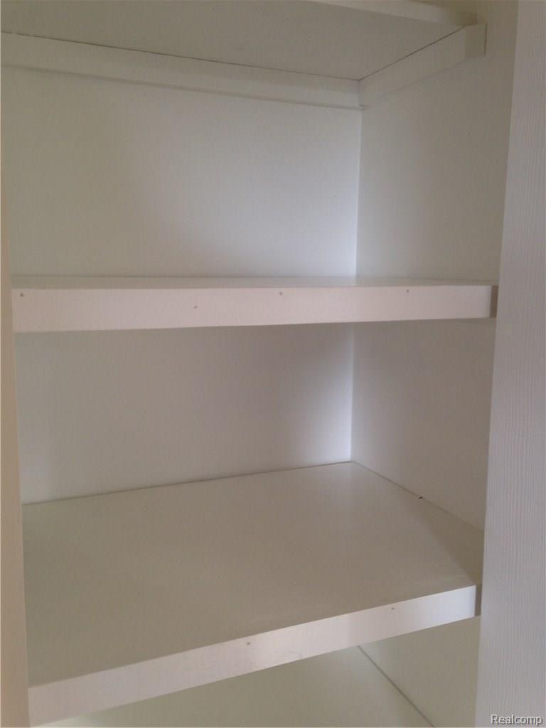 1045 North Kane Road Webberville, MI 48892 - Photo 24 of 48 second linen closet in hallway