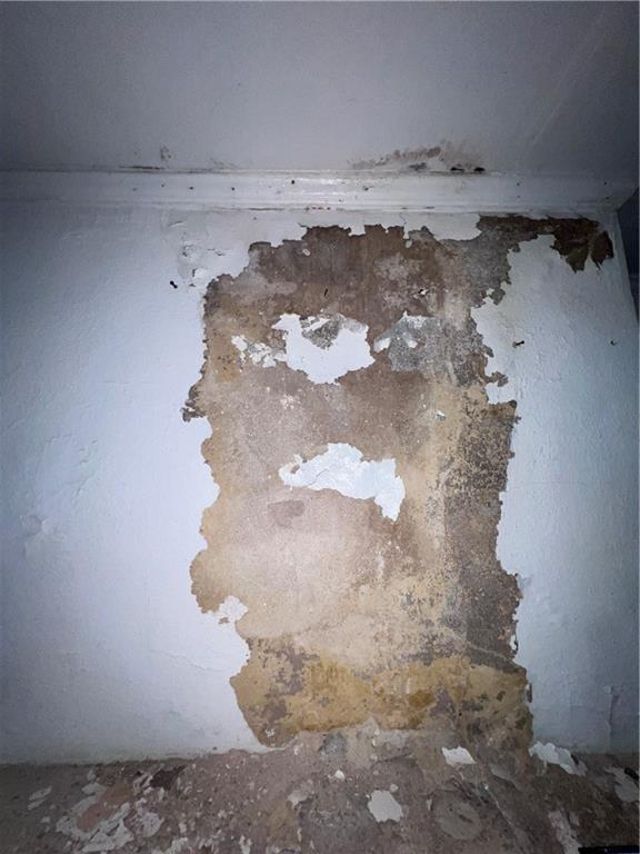 554 Nelson Street Macon, GA 31206 - Photo 16 of 37 a close up of a plant in a kitchen