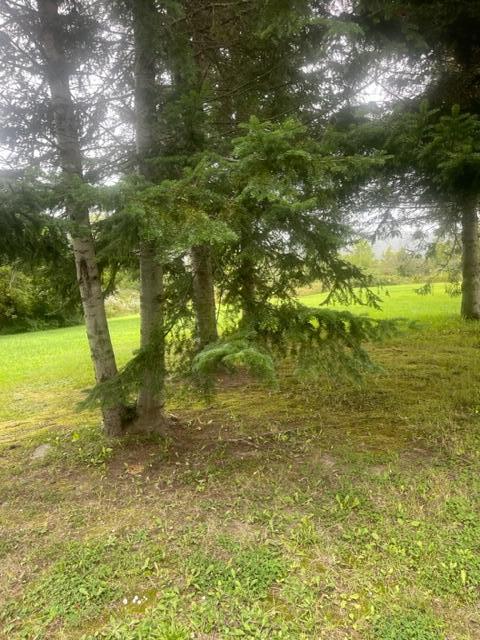 2135 St John Road Fort Kent, ME 04743 - Photo 52 of 54 IMG_1163