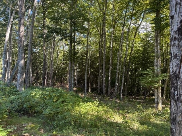 Lot 5 Partridge Road Jackson, NH 03846 - Photo 5 of 6 Gallery Image 5