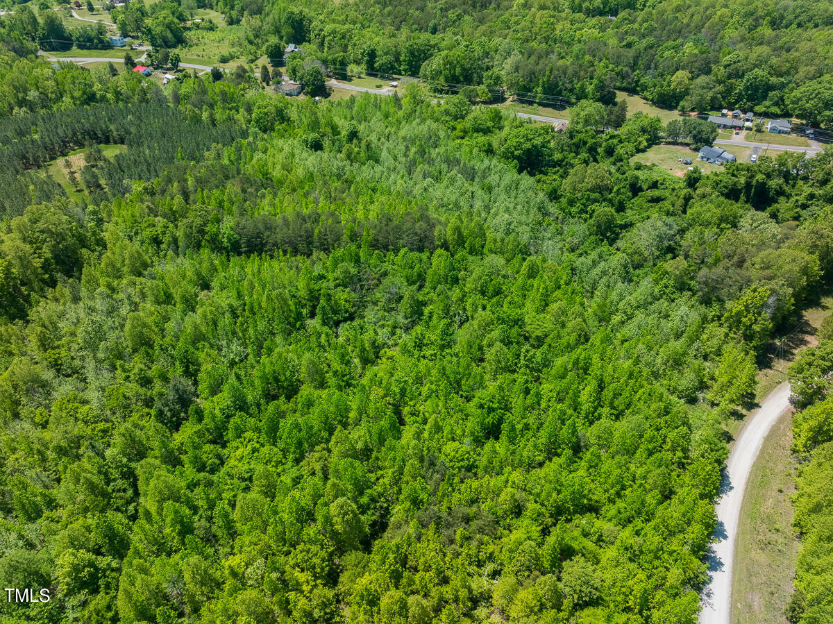 Lot-2-00 Wilson Road Providence, NC 27315 - Photo 8 of 39 Caswell Co. NC -Wilsons Ridge-Lot 2-08
