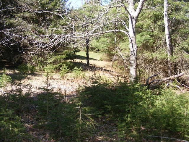 480 North 29 Road Cadillac, MI 49601 - Photo 16 of 36 1807637-15.JPG