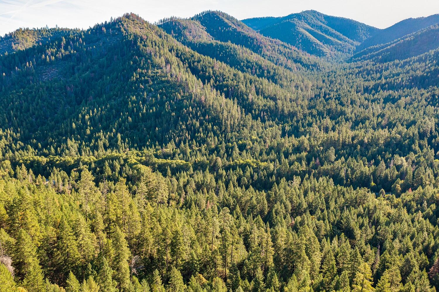 0 Thompson Creek Road Jacksonville, OR 97530 - Photo 13 of 17 Ninemile 15
