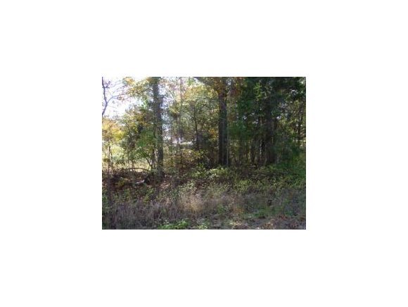 State Highway Reeds Spring, MO 65737 - Photo 1 of 1 Primary Photo
