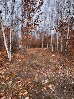 Lot #3 Skyview Road Harrison, ME 04040 - Photo 4 of 9 Skyview7