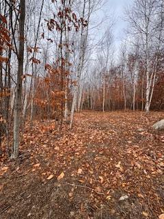 Lot #3 Skyview Road Harrison, ME 04040 - Photo 9 of 9 skyview4