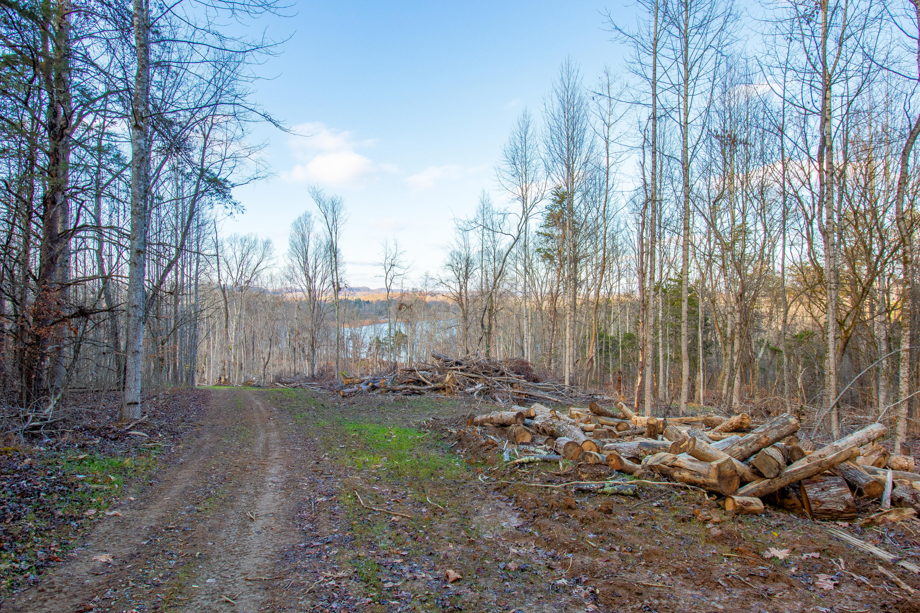 341 Haw Ridge Road Piney Flats, TN 37686 - Photo 15 of 71 Seasonal lake view from home