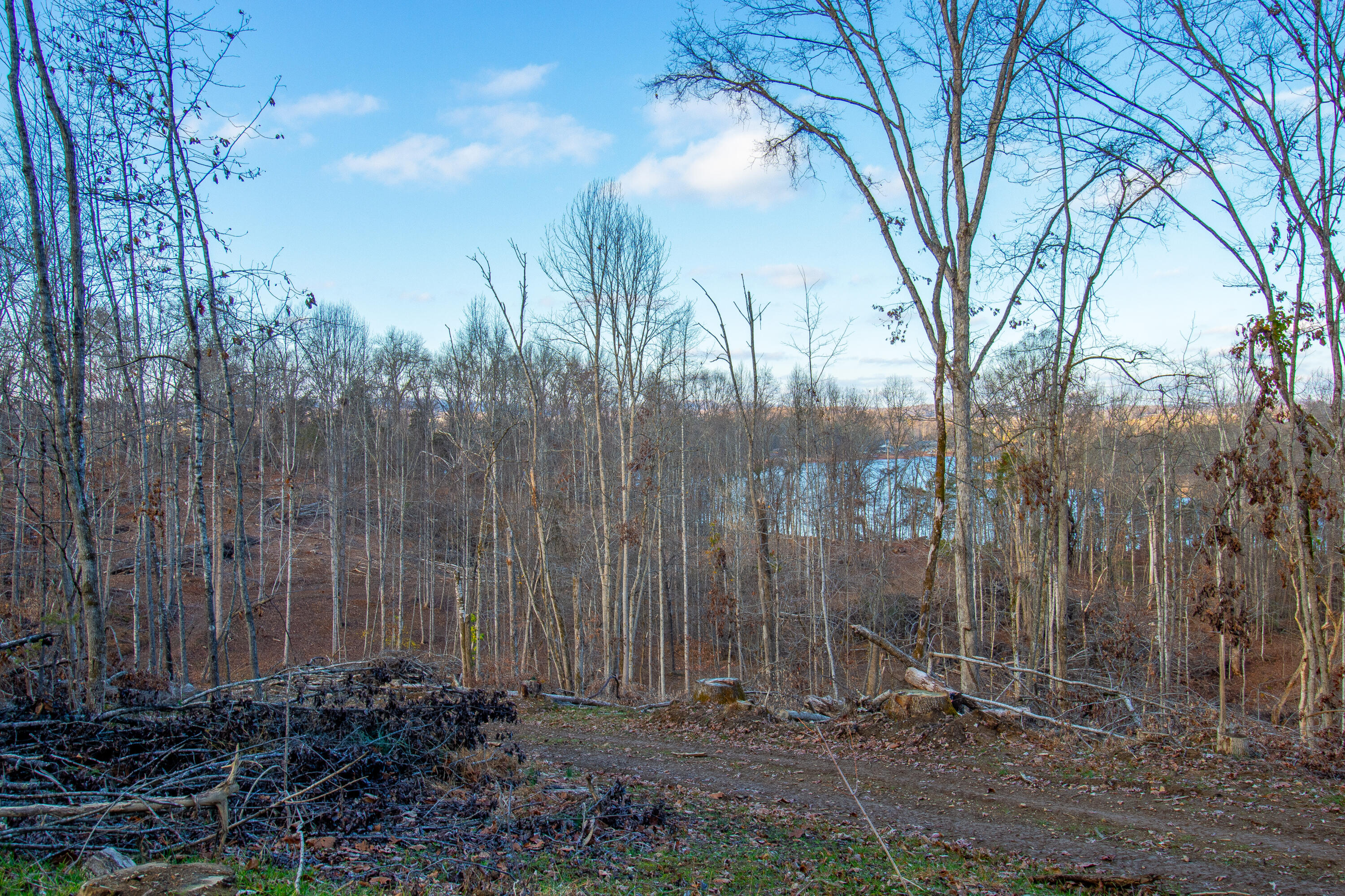 341 Haw Ridge Road Piney Flats, TN 37686 - Photo 16 of 71 Numerous lakeview areas