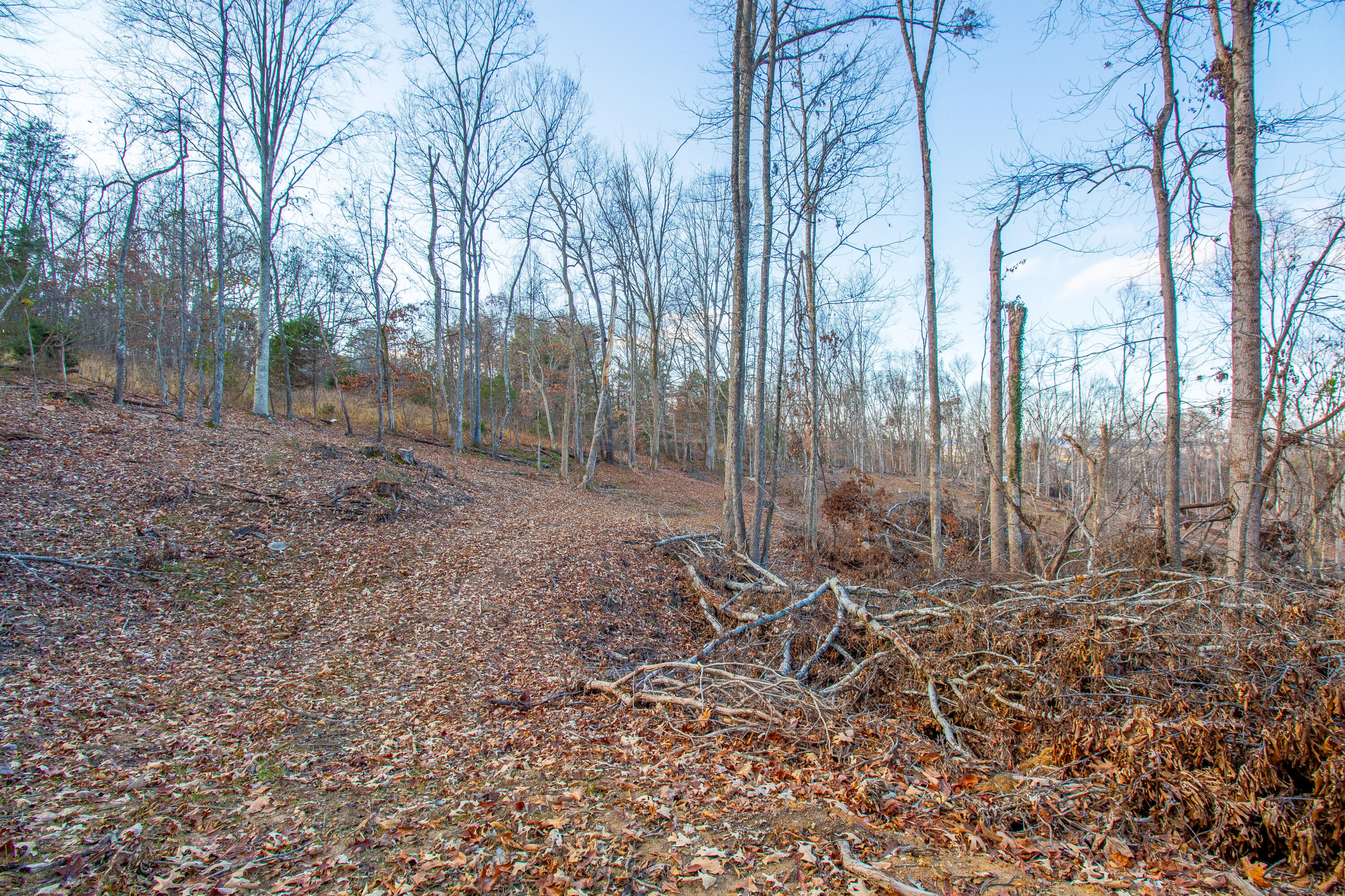 341 Haw Ridge Road Piney Flats, TN 37686 - Photo 17 of 71 IMG_6537-HDR
