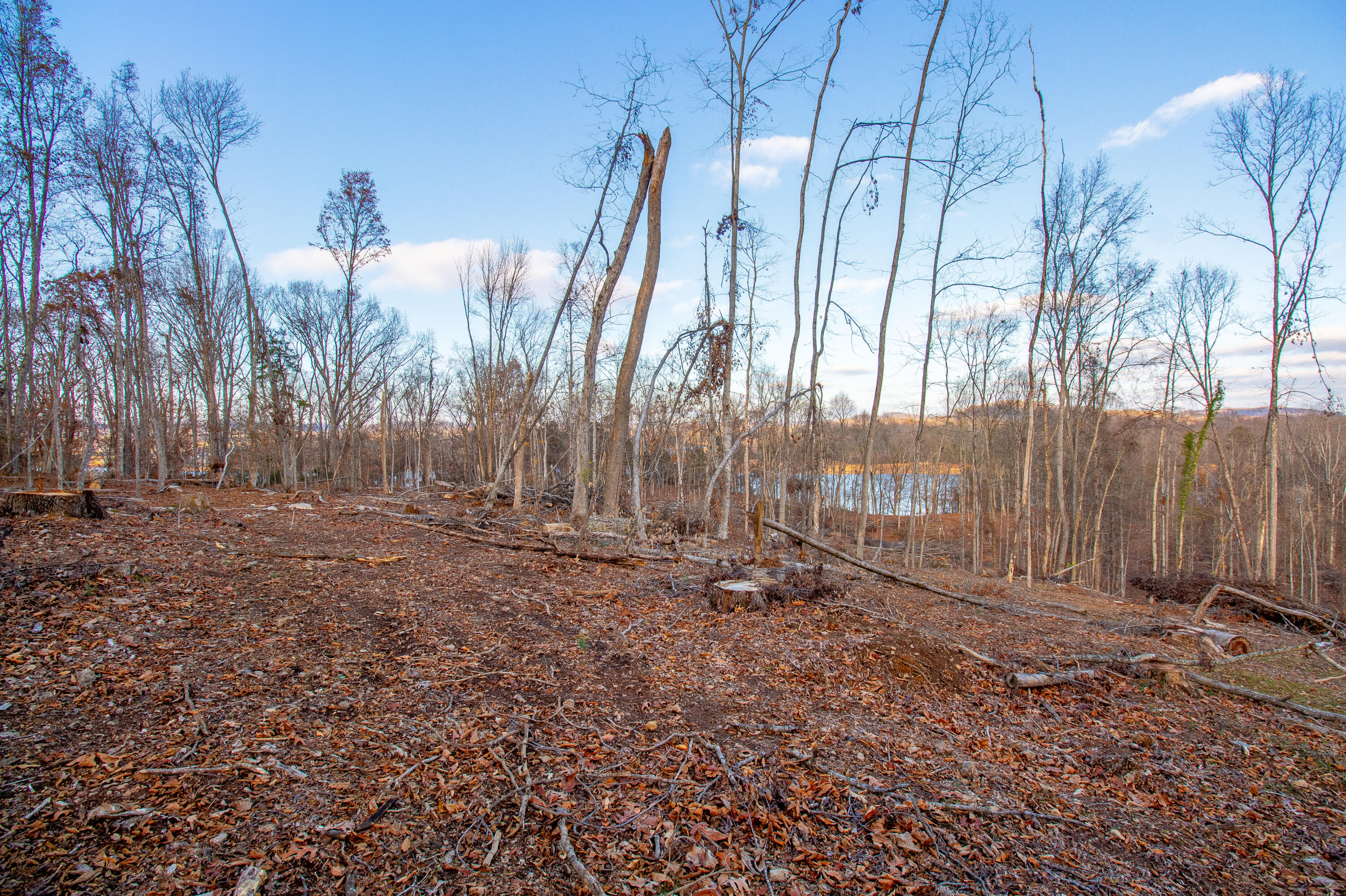 341 Haw Ridge Road Piney Flats, TN 37686 - Photo 20 of 71 IMG_6549-HDR
