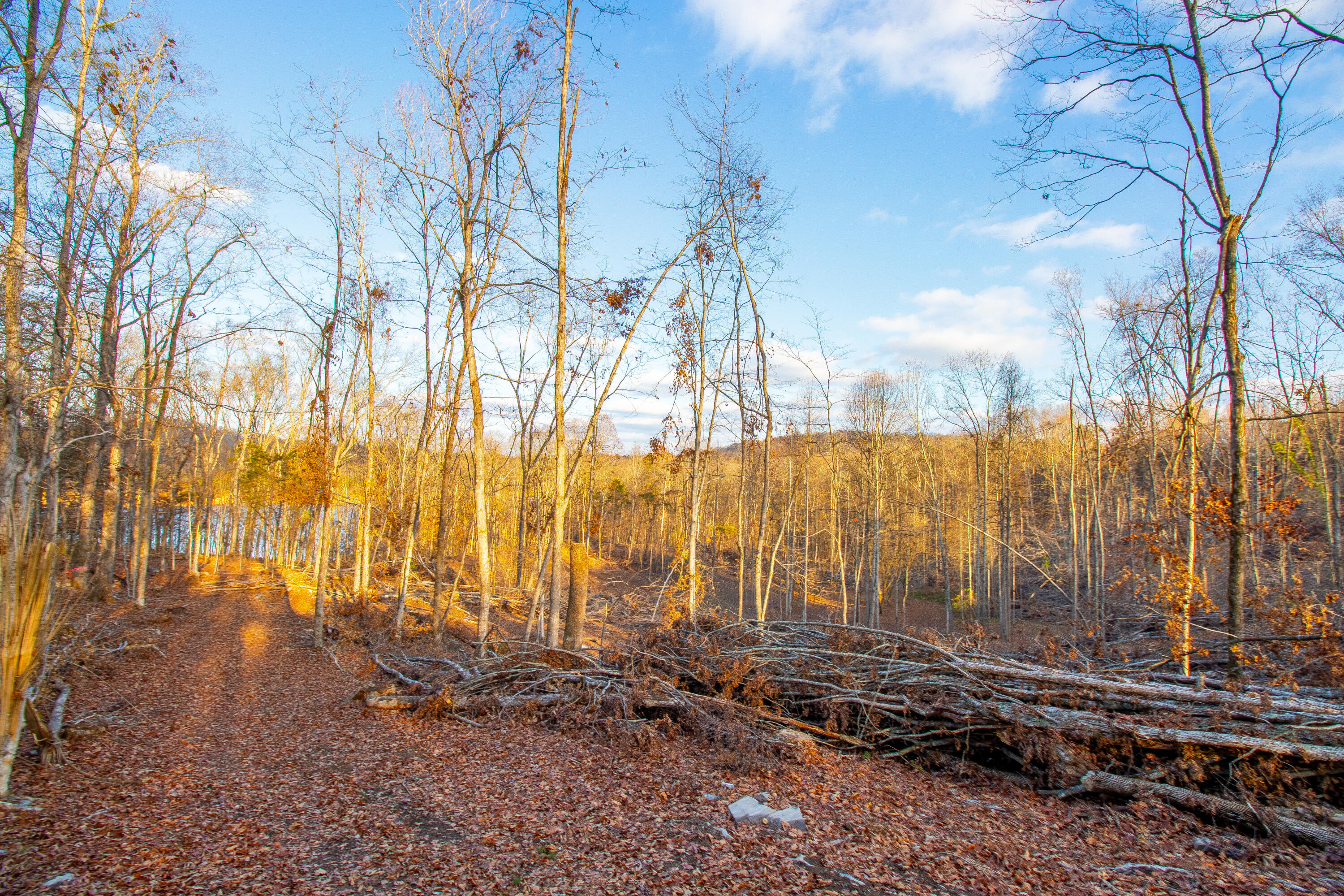 341 Haw Ridge Road Piney Flats, TN 37686 - Photo 22 of 71 IMG_6558-HDR