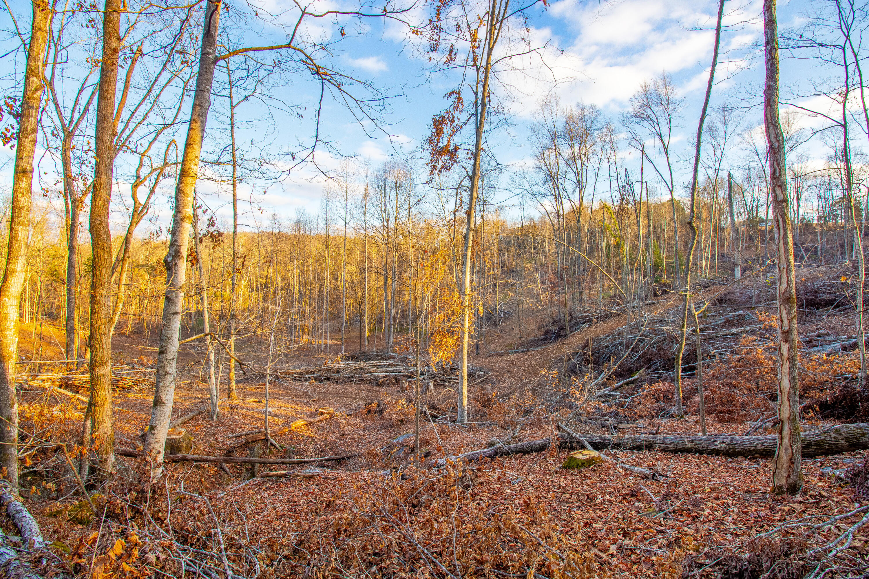 341 Haw Ridge Road Piney Flats, TN 37686 - Photo 23 of 71 IMG_6561-HDR