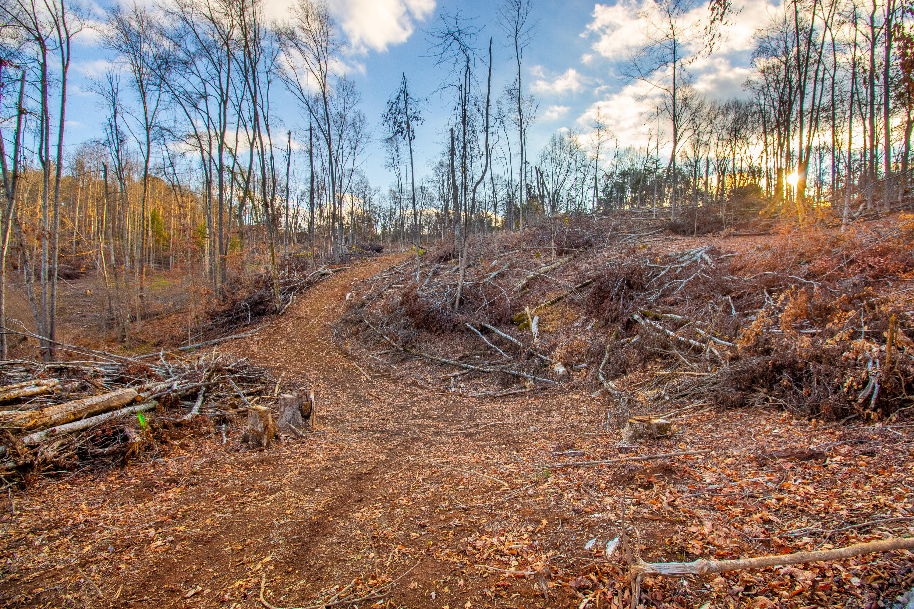 341 Haw Ridge Road Piney Flats, TN 37686 - Photo 24 of 71 IMG_6564-HDR