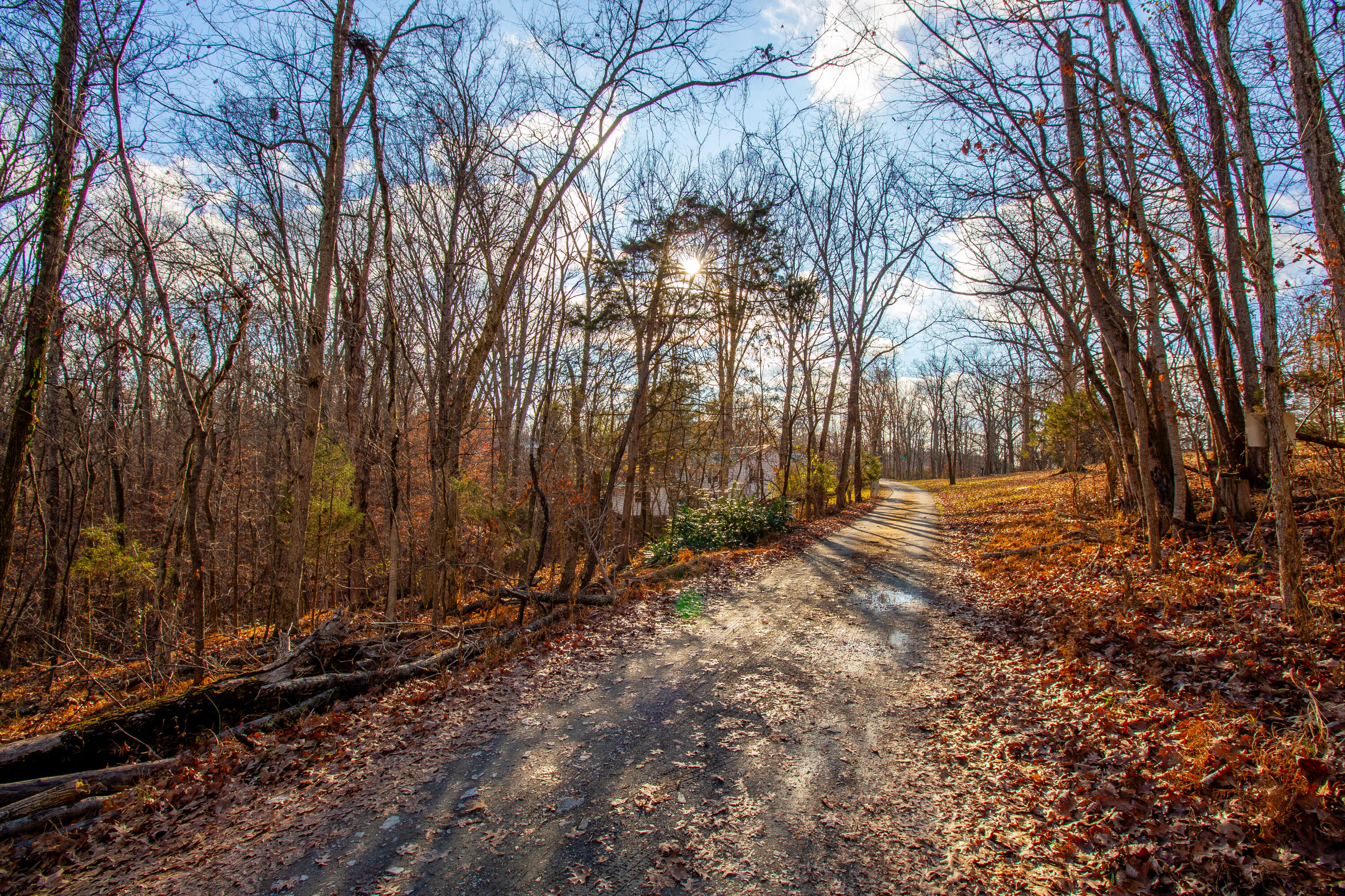 341 Haw Ridge Road Piney Flats, TN 37686 - Photo 3 of 71 Driveway