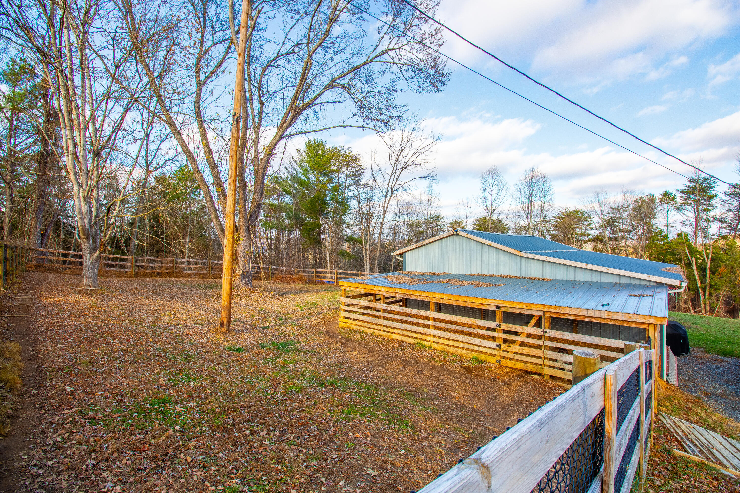 341 Haw Ridge Road Piney Flats, TN 37686 - Photo 60 of 71 Kennel behind garage